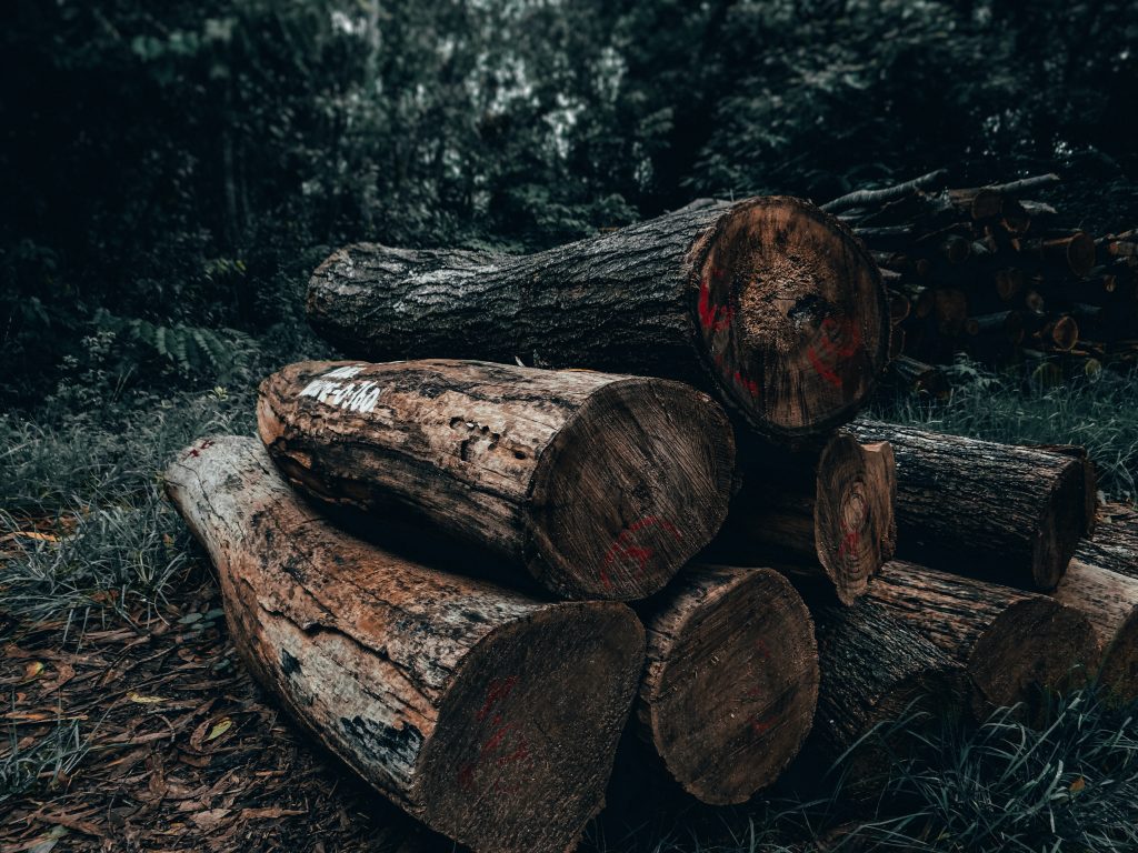 Log kayu alam sebagai bahan lantai kayu atau lantai parket