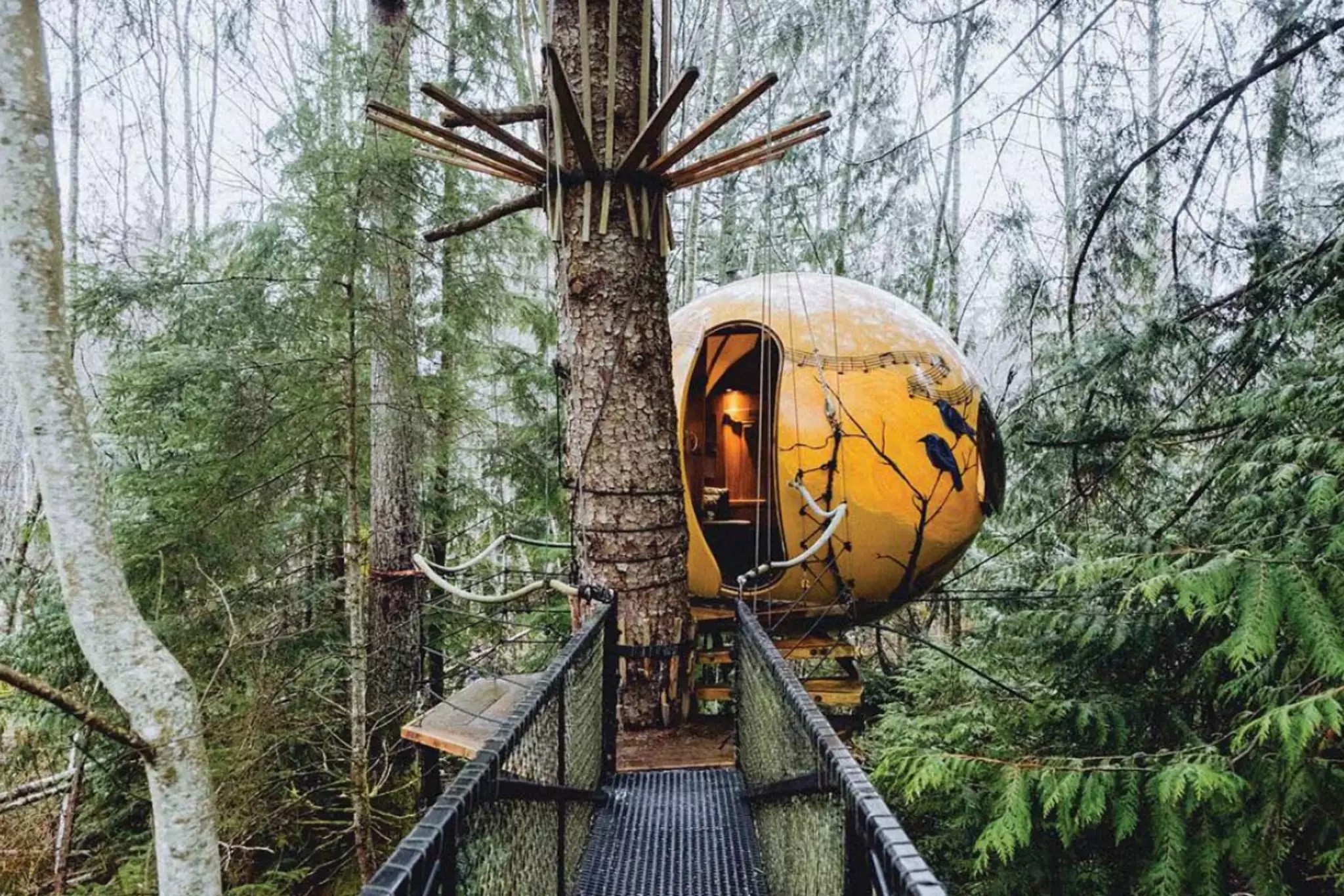 Intip 7 Gaya Desain Rumah Pohon yang Kekinian dan Unik — Courtina