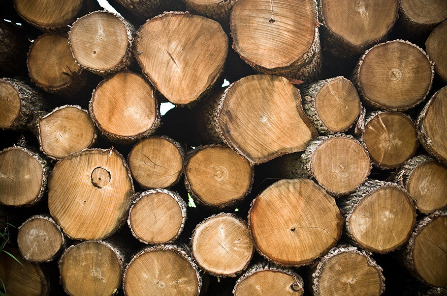 Sifat dan karakteristik bambu yang tidak dijumpai pada kayu adalah