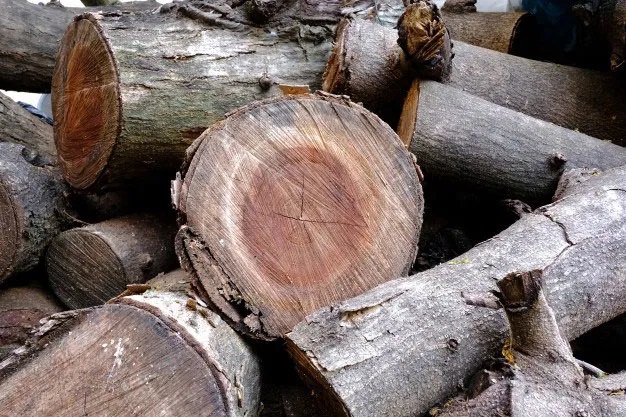 kayu khas Kalimantan