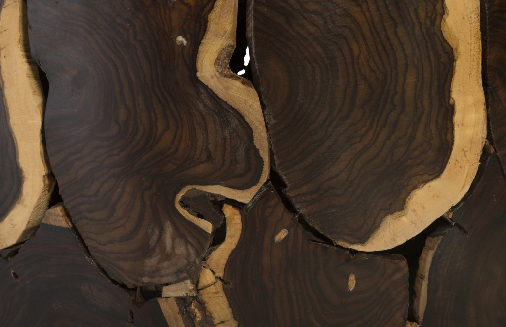 kayu siprus